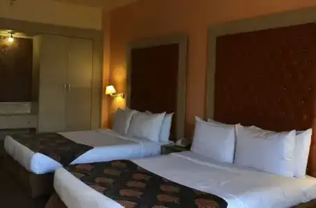 Santana - 100