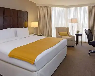 DoubleTree by Hilton Houston - Greenway Plaza - 35