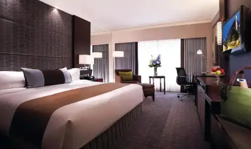 Holiday Inn Singapore Orchard City Centre by IHG - 13