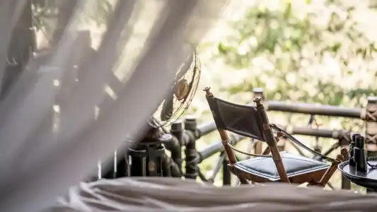 Four Seasons Tented Camp Golden Triangle - 31
