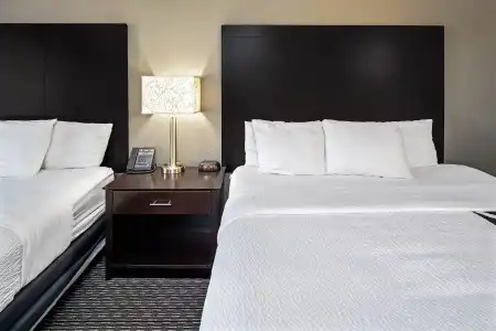 La Quinta Inn & Suites by Wyndham Anaheim - 20