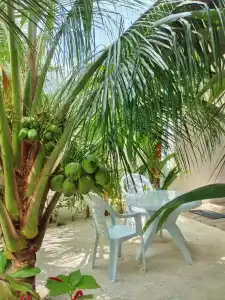 Sunrise Inn - 13