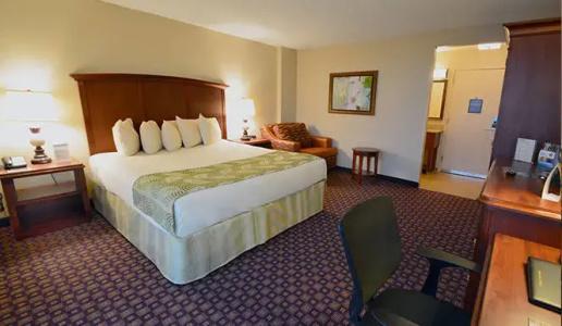 Rosen Inn, closest to Universal - 50