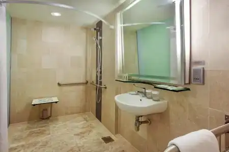 Holiday Inn Singapore Orchard City Centre by IHG - 19