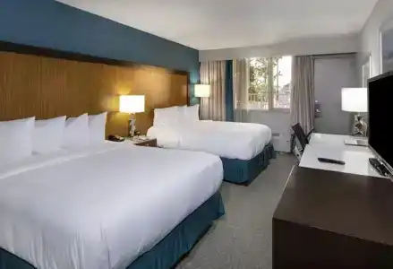 DoubleTree by Hilton Jacksonville Airport - 16