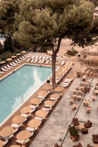 Cook’s Club Palma Beach +16 - 13
