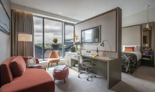 Clayton Ballsbridge - 39