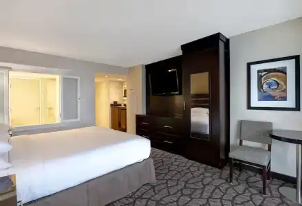 Hyatt Regency Niagara Falls Fallsview - 81