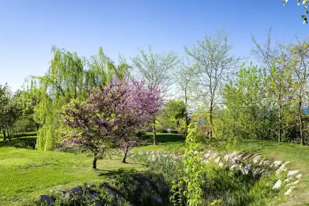 Parc Germano Suites & Apartments - 23