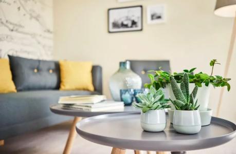 Küstenperle Strand& Spa - 84