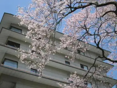 Nikko Senhime Monogatari - 0