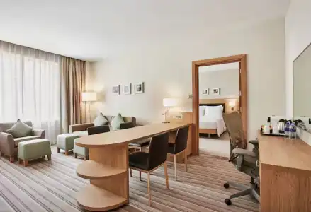 Hilton Garden Inn Dubai, Mall Avenue - 50