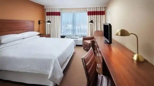 Four Points by Sheraton Los Angeles International Airport (USA) - 52