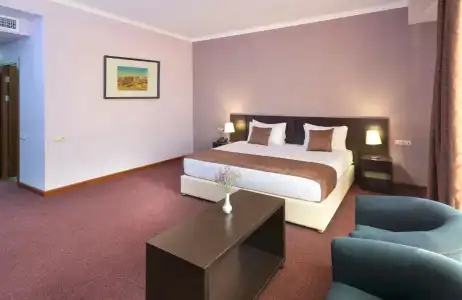 Ani Central Inn - 61