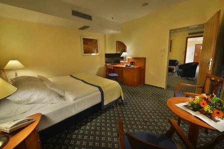 Ramada by Wyndham Prague City Centre - 35