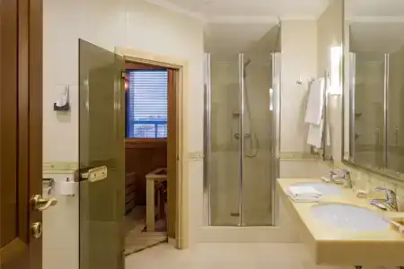 Cosmos Petrozavodsk - 84