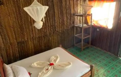New Jambo Bungalows - 4