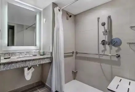 Embassy Suites by Hilton Seattle Bellevue - 48