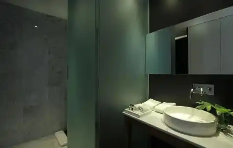 Anselmo Buenos Aires Curio Collection By Hilton - 52