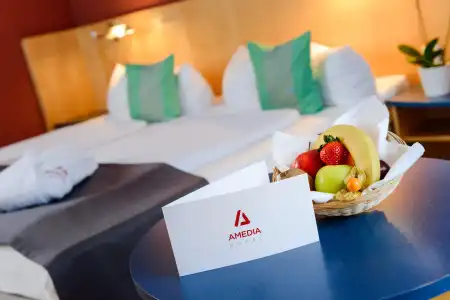 Amedia Dresden Elbpromenade, Trademark Collection by Wyndham - 3