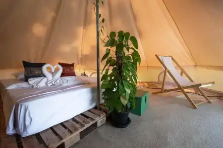 Roost Glamping - 61