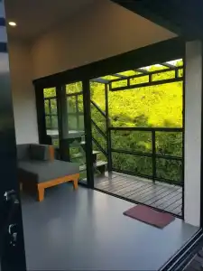 Zenubud - 50