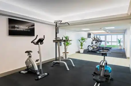 Occidental Puerto Banus - 26