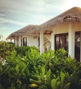 Cocogiri Island Resort Maldives - 18