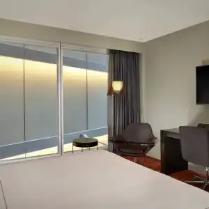 Park Plaza London Westminster Bridge - 86