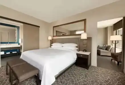Embassy Suites by Hilton Minneapolis Downtown - 57