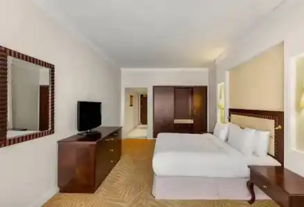 Hilton Alexandria Green Plaza - 56