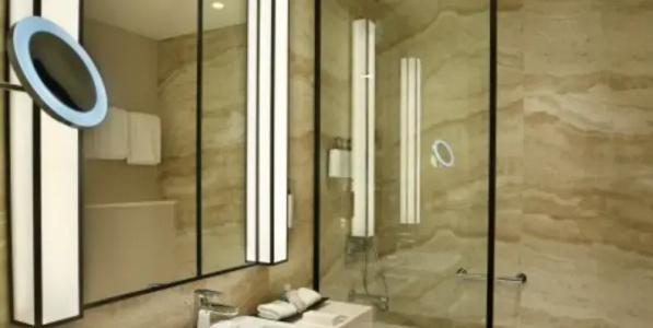 Al Ain Rotana - 53
