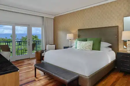 The Ritz-Carlton Maui, Kapalua - 74