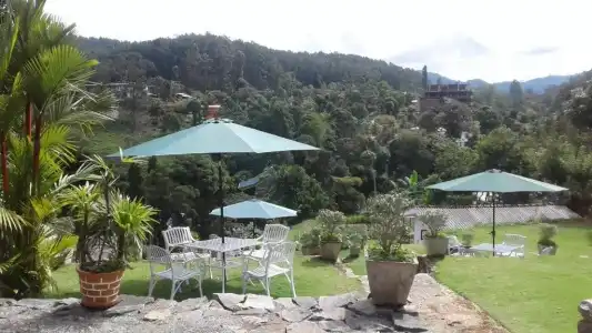 Alta Vista - 25