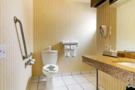Econo Lodge Inn & Suites - 62