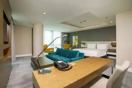 Radisson Blu, Kayseri - 78