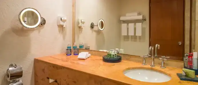 Camino Real Guadalajara - 46