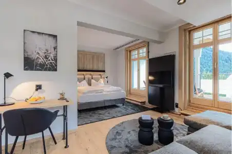 ALPINE INN Davos - 43