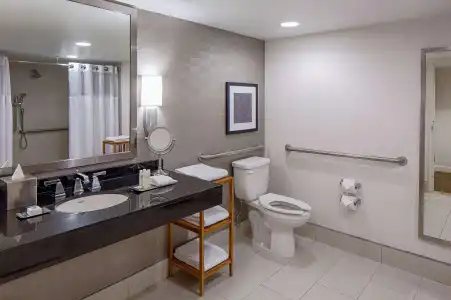 DoubleTree by Hilton Houston - Greenway Plaza - 43