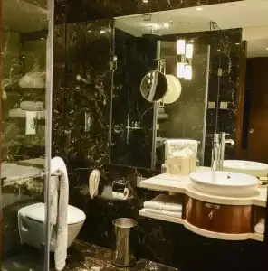 Taj Palace, New Delhi - 68