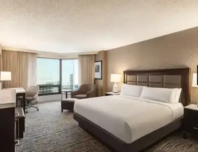Hilton Tampa Downtown - 50