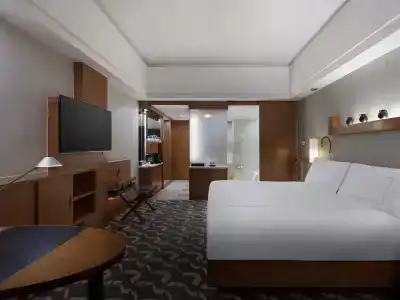Swissotel Grand - 55