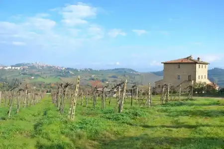 Agriturismo Il Casolare di Bucciano - 32