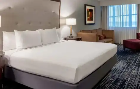 Sonesta Houston IAH Airport - 3