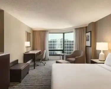 Hilton Tampa Downtown - 51
