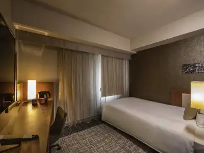 ibis Styles Tokyo Ginza - 29
