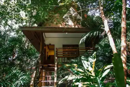 The Vatika Resort and Spa - 89