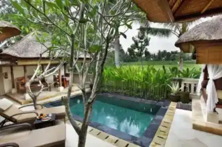The Ubud Village Resort & Spa - 34