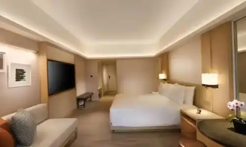 Conrad Singapore Orchard - 51