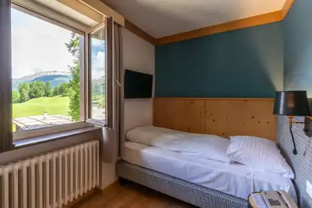 Bären - 24